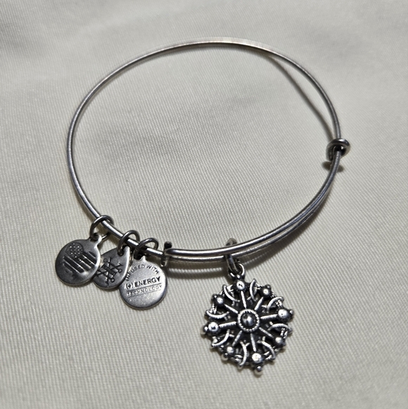 Alex and Ani Silver Compass Charm Bracelet - Picture 1 of 2